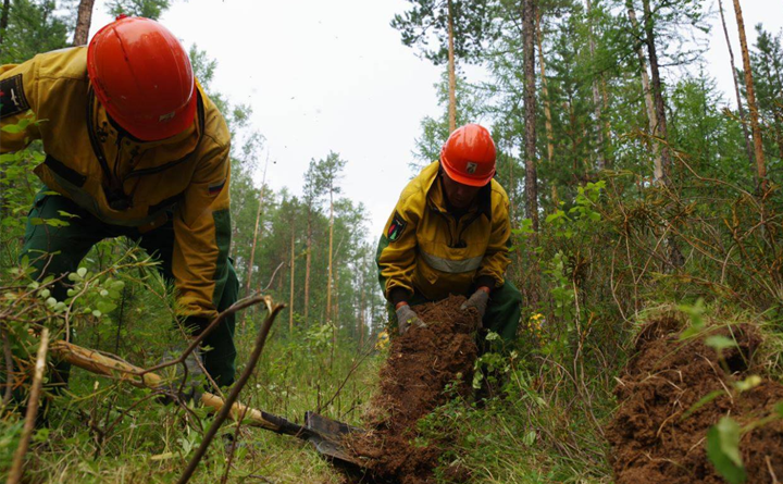За сутки в Якутии потушили 14 лесных пожаров, найдено два новых очага