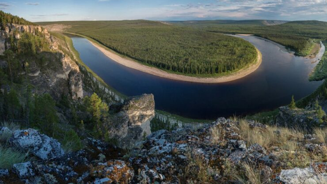 Общественный экологический совет взял под личный контроль заготовку леса в Алданском районе Якутии