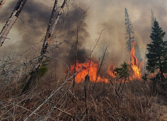 В трех районах Якутии ситуация с лесными пожарами напряженная