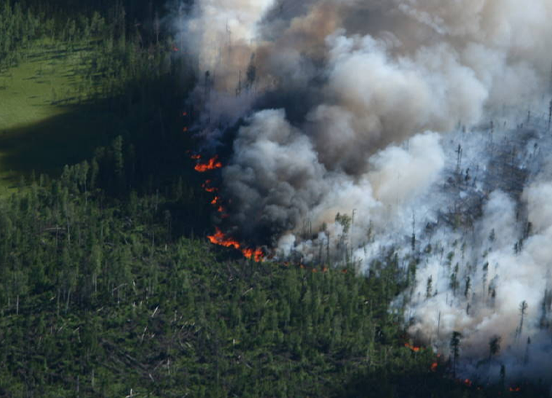 В Алданском и Нерюнгринском районах поздно регистрировали лесные пожары — прокуратура