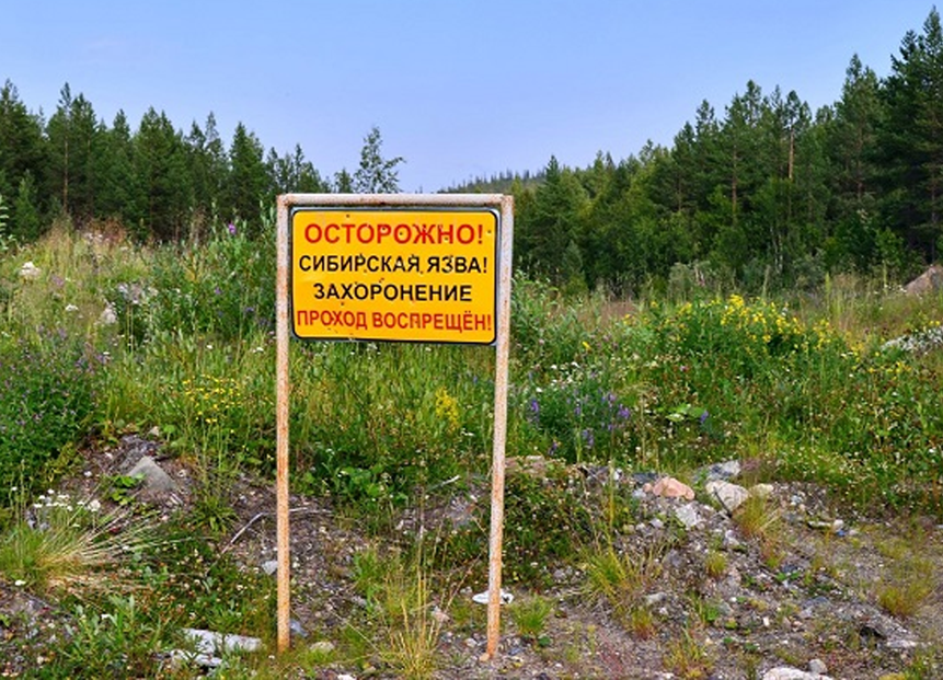 Власти Якутии игнорируют опасность заражения сибирской язвой в Золотом Алдане