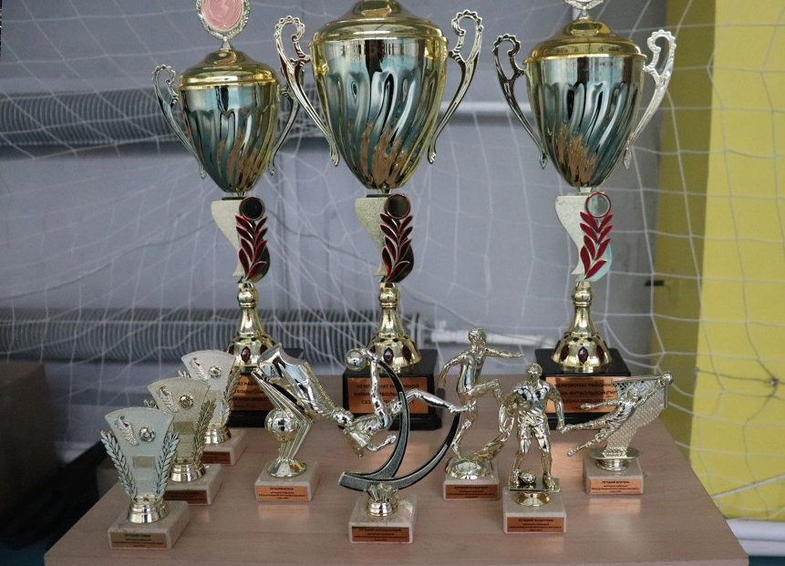 Завершился VI Чемпионат Районной Лиги по Мини-футболу (РЛМФ)
