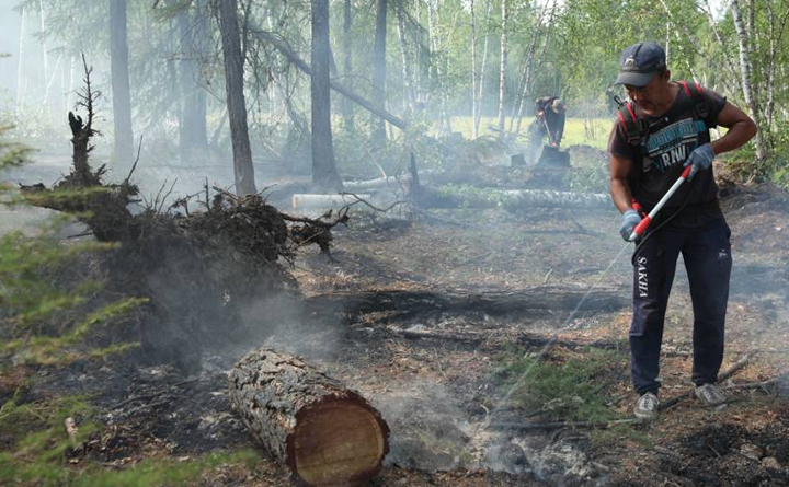 В республике действуют 27 лесных пожаров на территории четырех районов