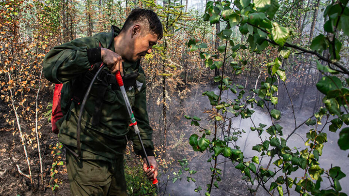Лесные пожары тушат в трех районах Якутии