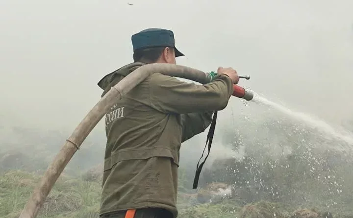 В Якутии за сутки ликвидировали 22 лесных пожара