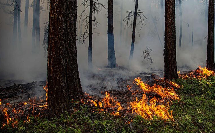В Якутии за сутки ликвидировали десять лесных пожаров